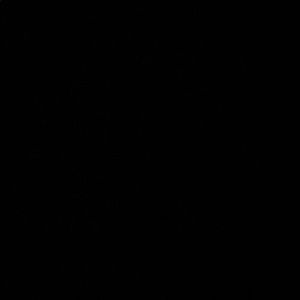 Meet your Posher, Tanveer